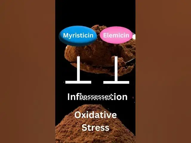 'Video thumbnail for Nutmeg: The Spice That Heals'