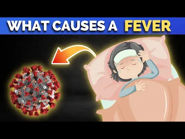 'Video thumbnail for What Causes A Fever And What Happens When You Have A Fever'