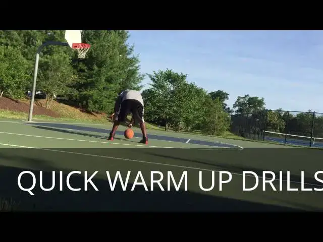 'Video thumbnail for Air Jordan 12 Flu Game On Court Testing and Review/Observations'