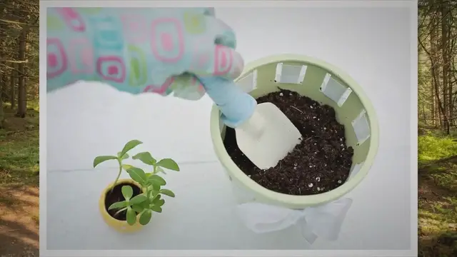 'Video thumbnail for Does Potting Soil Go Bad? The Truth About This'