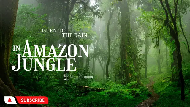'Video thumbnail for Listen To The Rain - The Sound of Amazon Jungle - Birds , Forest Sounds'