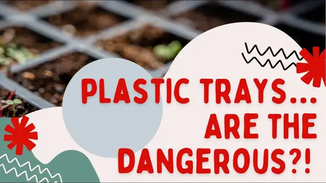 'Video thumbnail for Do Plastic Trays Leach Plastic Into Our Soil & Eventually Our Plants? Seed Starting In Canada'
