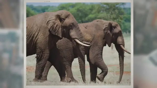 'Video thumbnail for Top 3 Best African Countries to Visit'