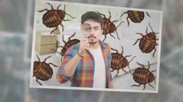 'Video thumbnail for HOW TO FIND BED BUGS DURING THE DAY [Fast and Simple]'