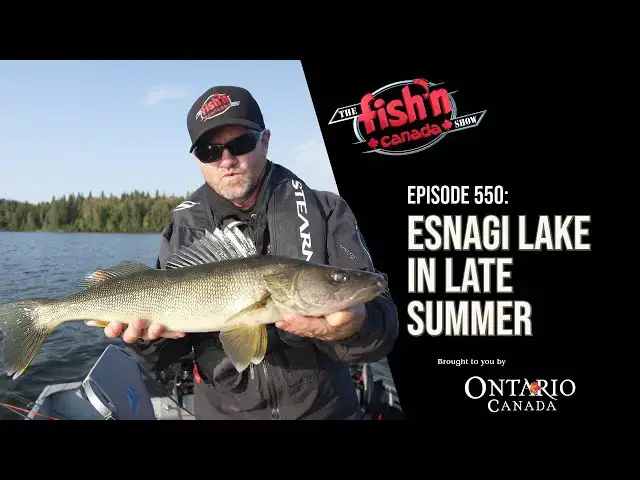 'Video thumbnail for CRAZY WALLEYE IN NORTHERN ONTARIO | The Fish'n Canada Show Episode 550: Esnagi Lake in Late Summer'