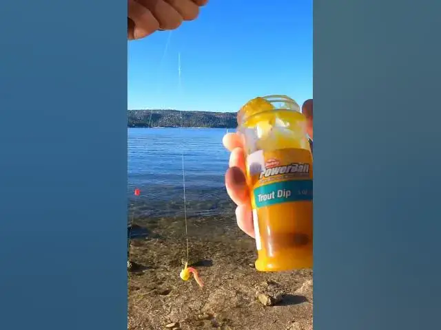 'Video thumbnail for Fishing Worms and Trout Dip #fishingbaits'