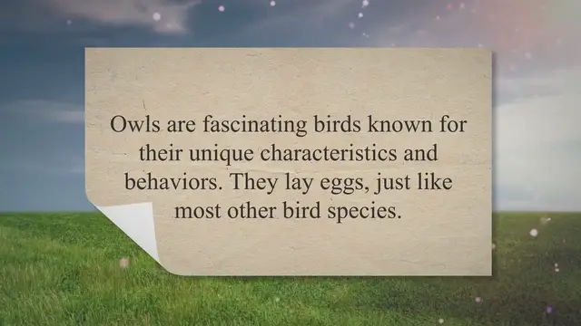 'Video thumbnail for Do Owls Lay Eggs or Give Birth? (Answer Might Surprise You!) 2023 » Petybird.com'