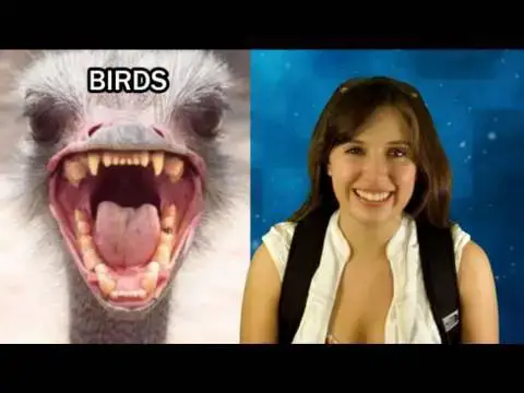 'Video thumbnail for WARNING: This BIRD could RIP APART your CAR!'