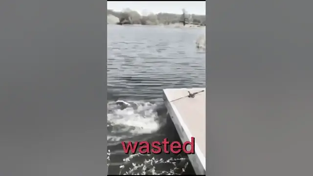 'Video thumbnail for How to (not) skip docks #wasted #fishing #shorts #bassfishing'
