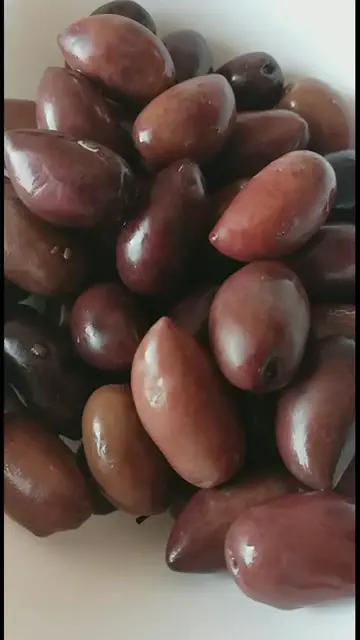 'Video thumbnail for How to Make Olive Oil at Home? '