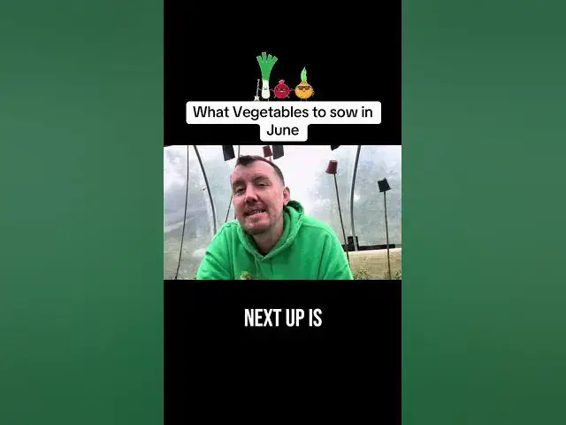 'Video thumbnail for What Vegetable Seeds to Sow in June | Grow Fresh Food This Summer!'