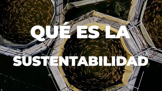 'Video thumbnail for Que es la Sustentabilidad'