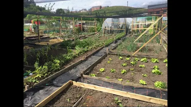 'Video thumbnail for Gardening and Allotment Diary: Highlights from March 21st, 2018!'