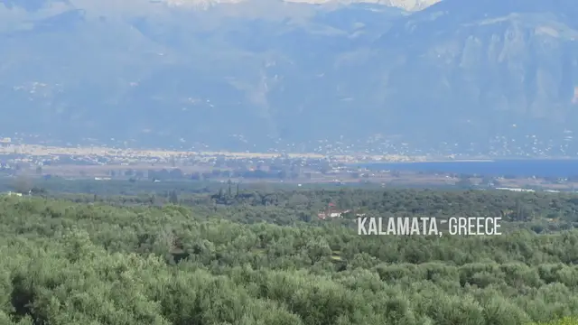 'Video thumbnail for Oliviada Olive Tree Adoption in Greece'