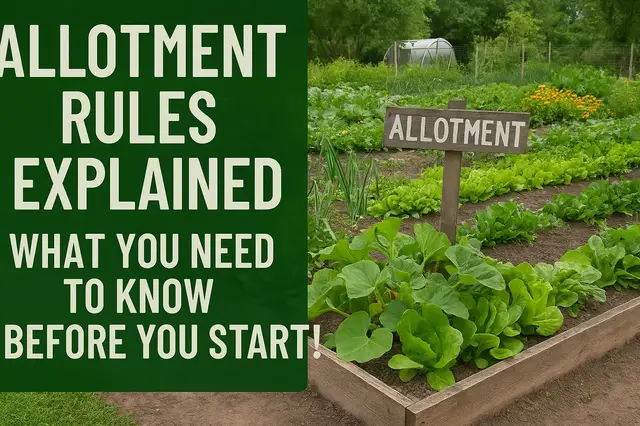 'Video thumbnail for Allotment Rules Explained – What You Need to Know Before You Start!'
