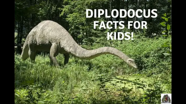 'Video thumbnail for Diplodocus facts for kids'