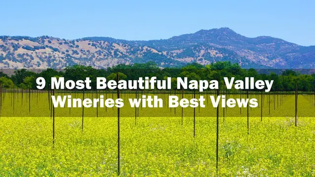 'Video thumbnail for 9 Most Beautiful Napa Valley Wineries with Best Views'