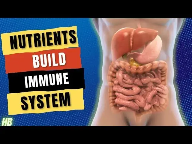 'Video thumbnail for 11 KEY Nutrients To Build An ADAPTIVE Immune System In Your Body'