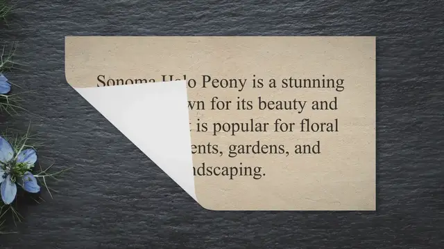'Video thumbnail for sonoma halo peony'