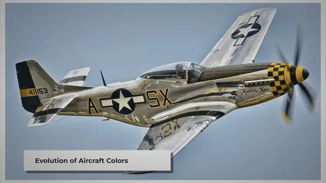 'Video thumbnail for The Silver Wings of WWII: Unveiling the US Aircraft’s Metallic Sheen'