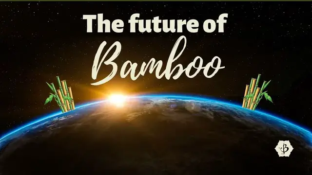 'Video thumbnail for The future of bamboo'