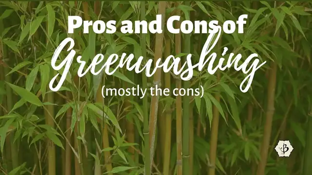 'Video thumbnail for The Pros and Cons of Greenwashing'