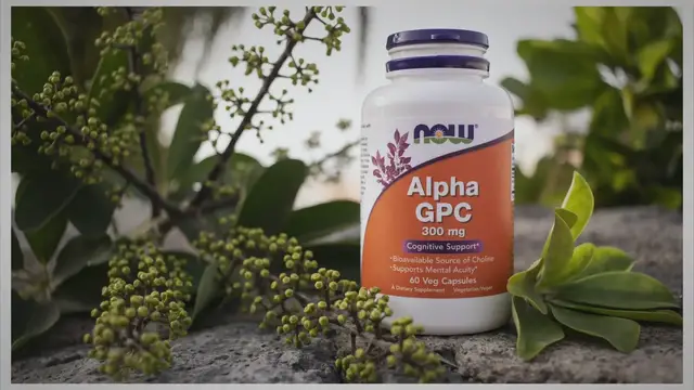 'Video thumbnail for Berberine as a Nootropic for Diabetes'
