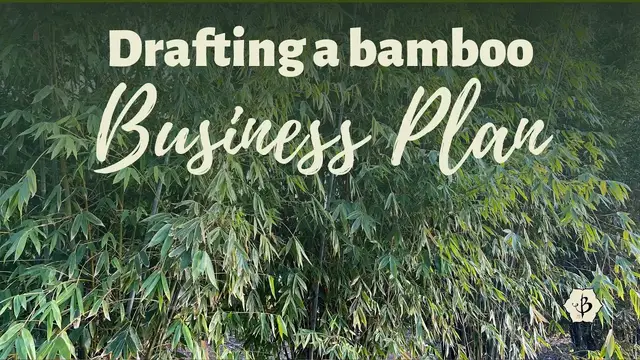 'Video thumbnail for Bamboo Business Planning'