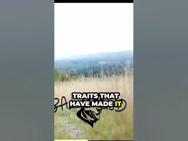 'Video thumbnail for Part 3'