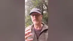 'Video thumbnail for Needs Collision vs the Blame Game'
