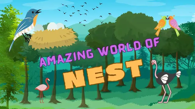 'Video thumbnail for The Fascinating World of #birds #nest | @techwithnature #dailyvlog #environment'