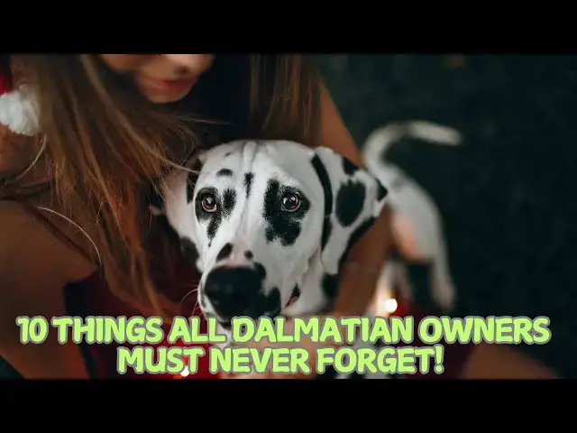 'Video thumbnail for 10 Things All Dalmatian Owners Must Never Forget! π'