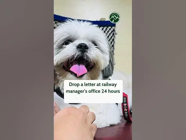 'Video thumbnail for Train travel with pets in India in 4 steps. #travelwithpets #petfriendlytravel #travelindia #irctc'