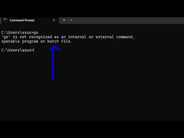 'Video thumbnail for How to fix go is not recognized as an internal and external Command Error in Terminal'