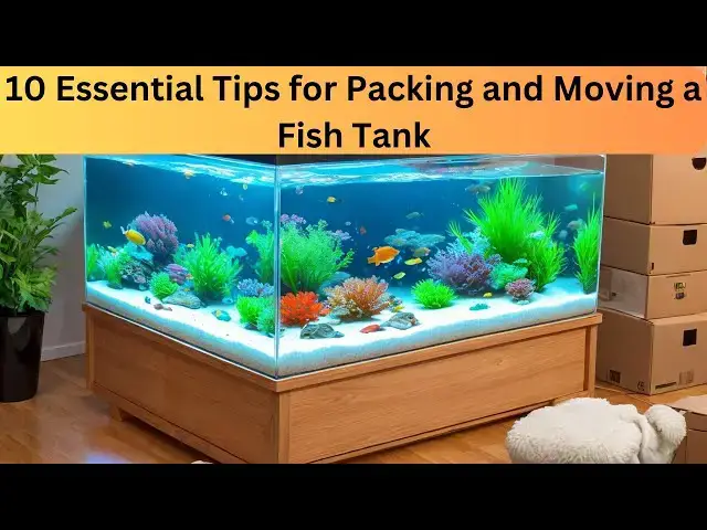 'Video thumbnail for 10 Essential Tips for Packing and Moving a Fish Tank Safely'