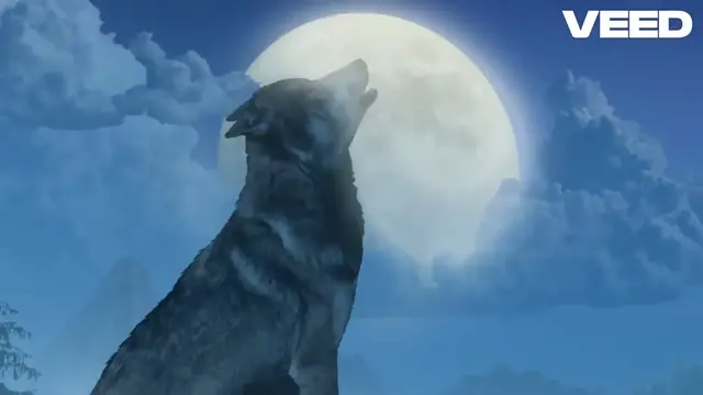 'Video thumbnail for Gray Wolf Protections_ A Vital Decision'