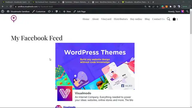 'Video thumbnail for How to Customize Facebook Posts & Feeds in WordPress Using Smash Balloon Social Plugin FREE'