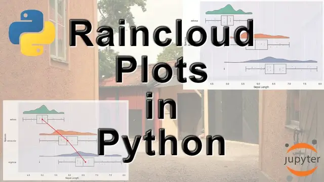 'Video thumbnail for Data Visualization Tutorial: Raincloud Plots in Python'