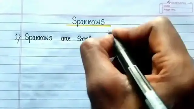 'Video thumbnail for 10 Lines on Sparrows in English ⬆︎'