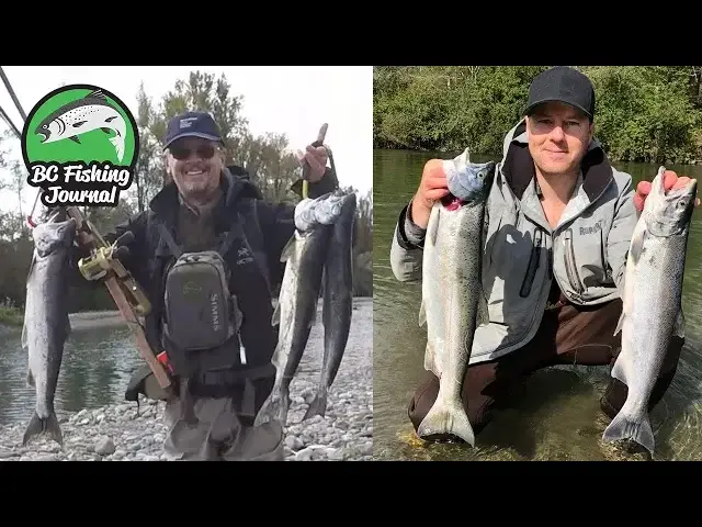 'Video thumbnail for Vedder River Coho Salmon - CATCH CLEAN & COOK'
