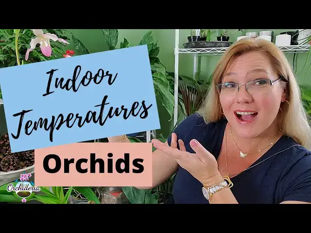 'Video thumbnail for Temperatures for Indoor Orchids: Does Temperature Influence Blooms?'