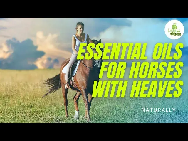 'Video thumbnail for Essential Oils for Horses with Heaves - | Simple Ways to Give Medical Treatment to Your Horse'