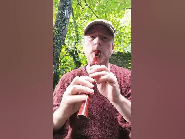 'Video thumbnail for Wash the Pots - Original Reel on Descant Recorder ???'
