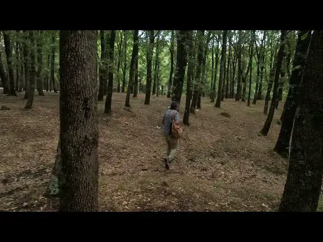 'Video thumbnail for DJI Mini 4 Pro obstacle avoidance in open wood'