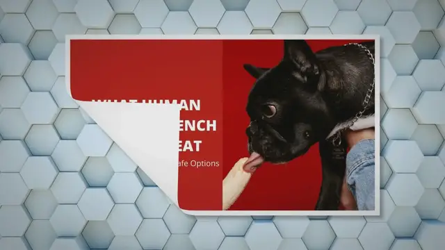 'Video thumbnail for What Human Food Can French Bulldogs Eat - 10+ Safe Options 2023'