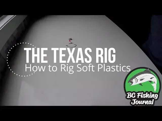 'Video thumbnail for How To Setup a Texas Rig'