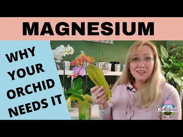 'Video thumbnail for Magnesium Deficiency in Orchids: Signs, Symptoms, & Secrets'