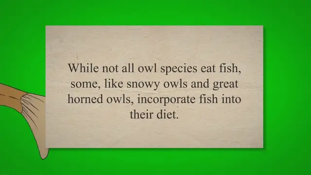 'Video thumbnail for Do Owls Eat Fish? Unveiling the Fishy Dining Habits of Owls 2023 » Petybird.com'