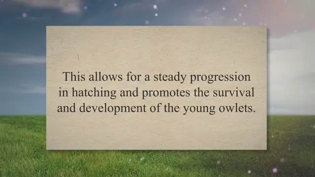 'Video thumbnail for How Often Do Owls Lay Eggs? (Exact Amount REVEALED!) 2023 » Petybird.com'
