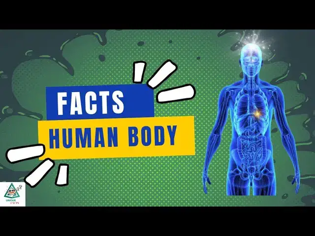 'Video thumbnail for Extraordinary Facts of the Human Body | Marvels of Human Body'